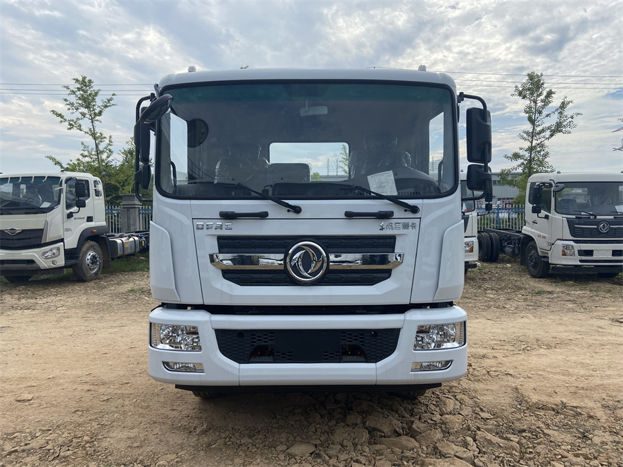 東風D9（3950，康明斯230）國六 內(nèi)飾照片圖