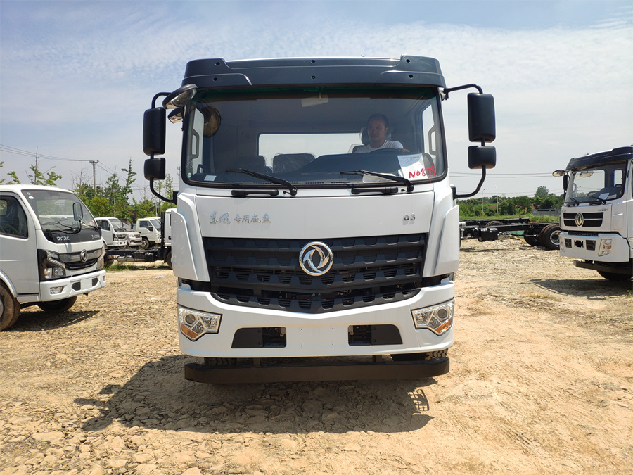 東風D3（后雙橋，玉柴245）國六 內(nèi)飾照片圖