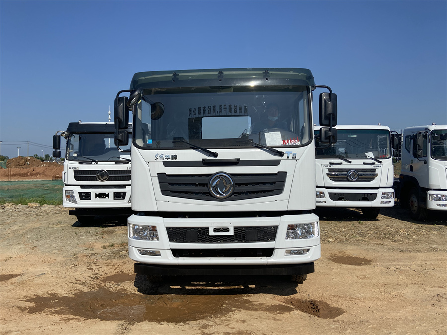 東風T5（后雙橋，玉柴260）國六 內(nèi)飾照片圖